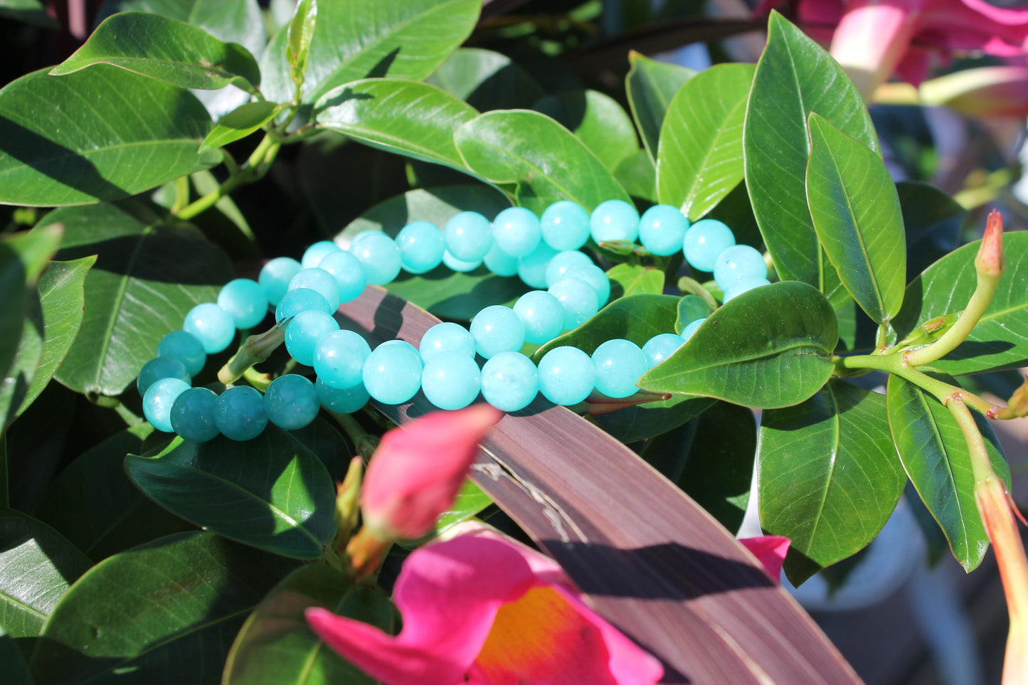 Amazonite Bracelets - 8mm