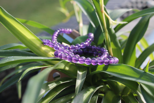 Amethyst Bracelets - 8mm (dreamy) and 6mm (solid)