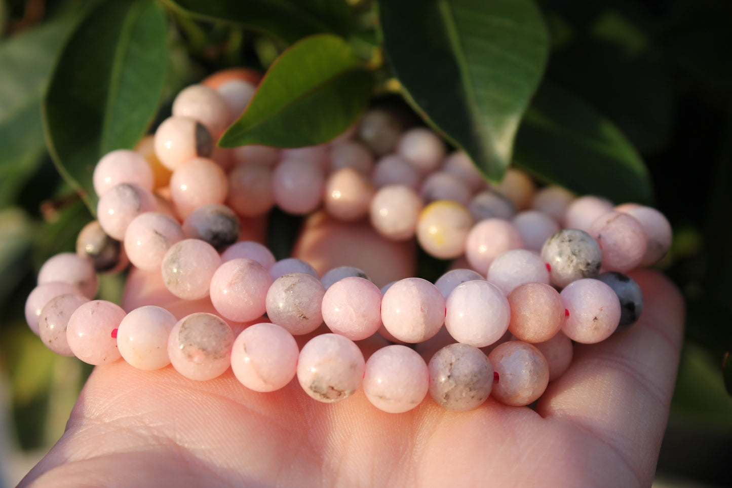 Australian Jade Bracelets - 8mm