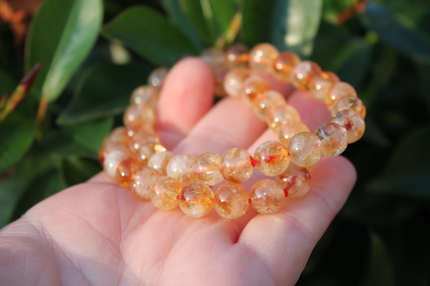 Citrine Bracelets - 8mm