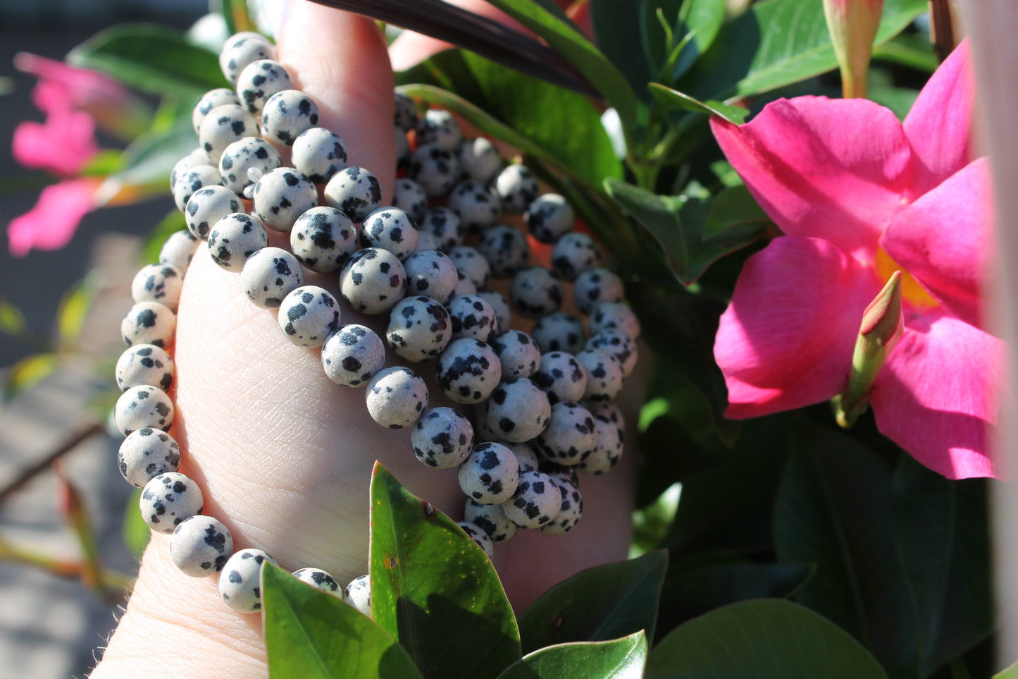 Dalmatian Jasper Bracelets - 4mm and 8mm