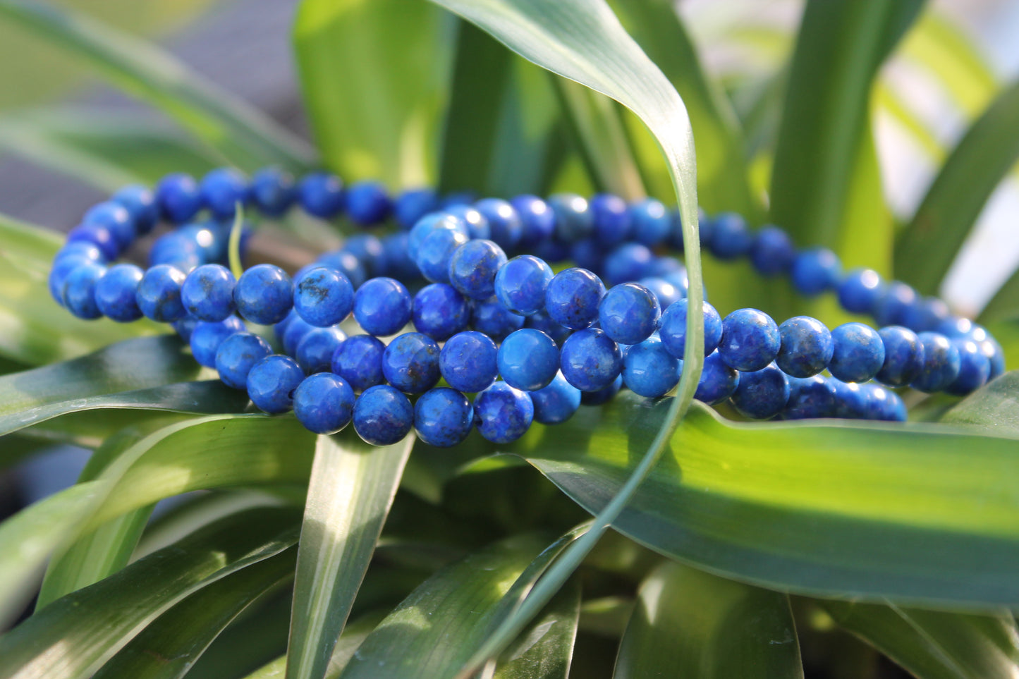 Lapis Lazuli Bracelets - 6mm