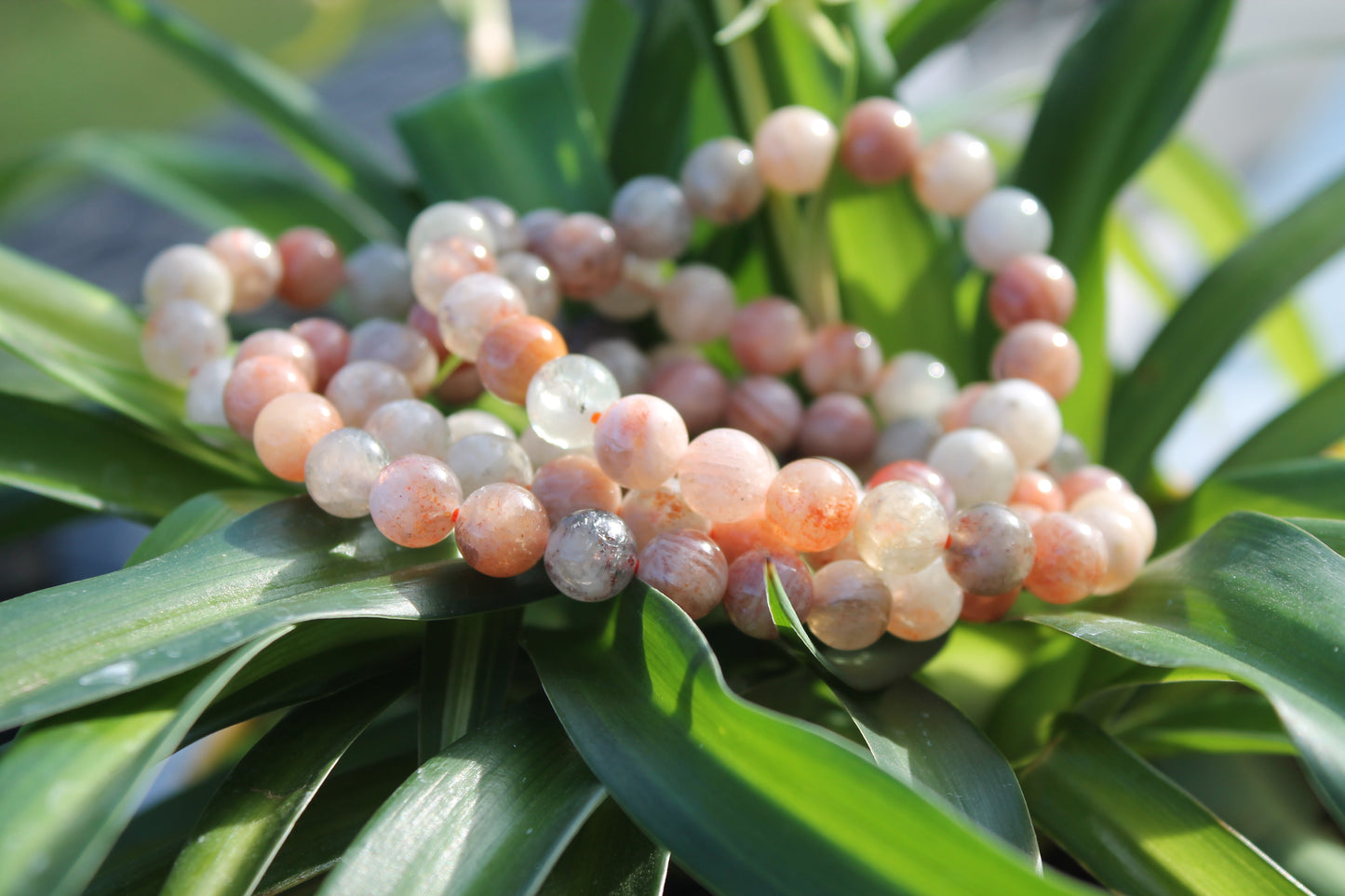 Peach Blossom Jasper Bracelets - 8mm