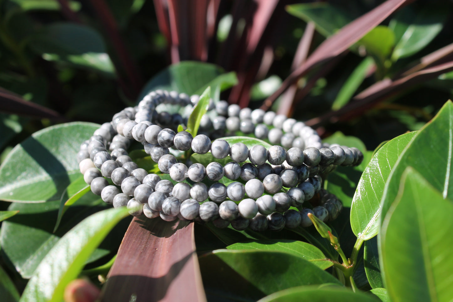 Picture Jasper Bracelets - 2mm & 8mm