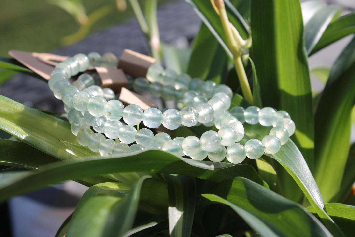 Prehnite Bracelets - 6mm