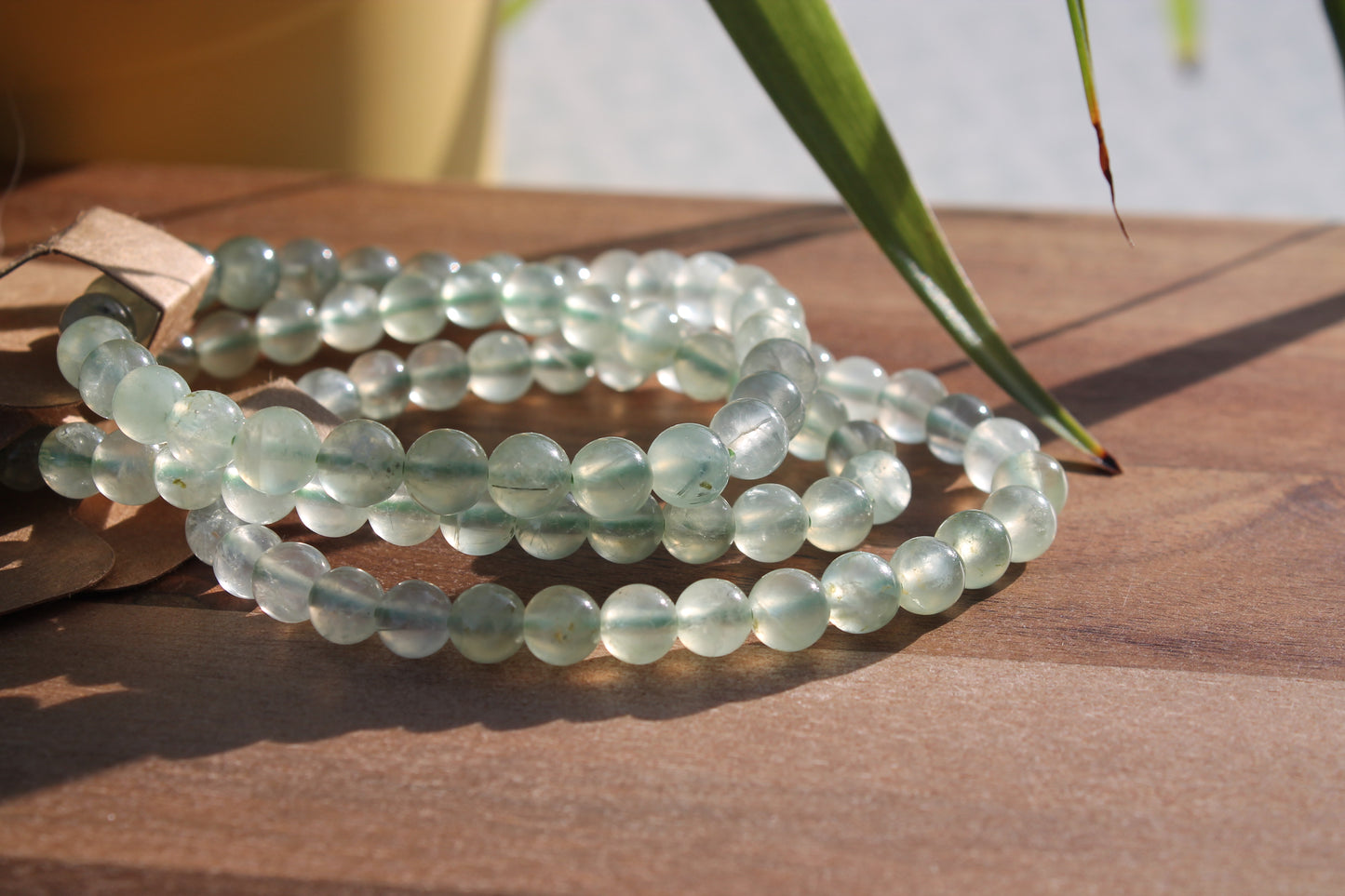 Prehnite Bracelets - 6mm